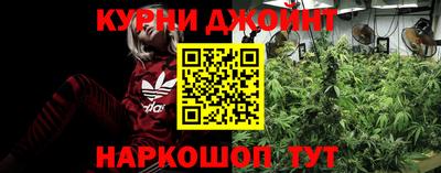 шишки Новоалтайск