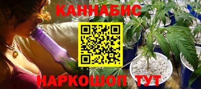шишки Новоалтайск
