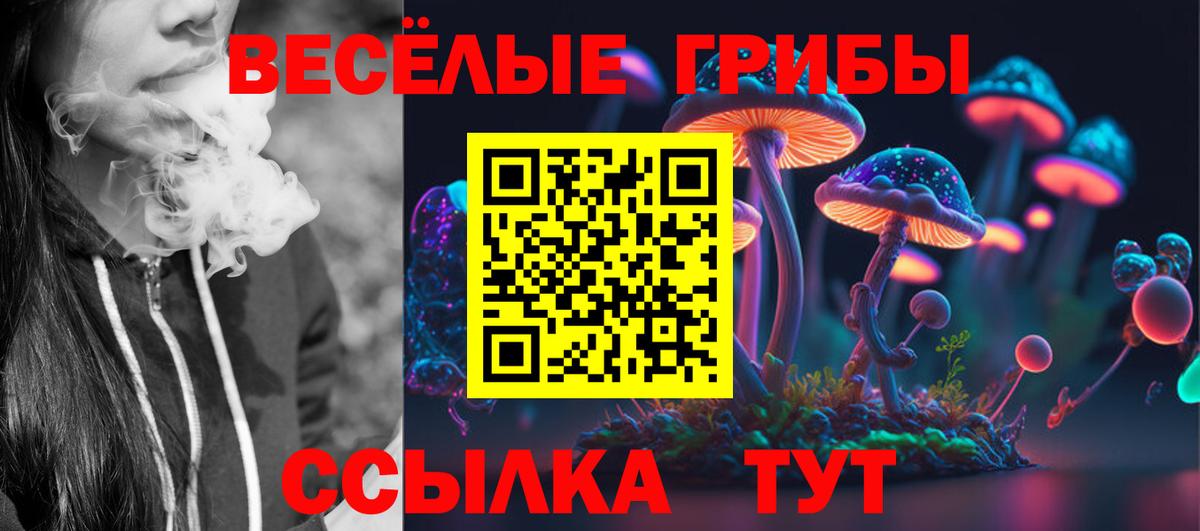 Шатура  магазин продажи наркотиков  Псилоцибиновые грибы Cubensis  Вход с VPN  Псилоцибиновые грибы MAGIC MUSHROOMS 